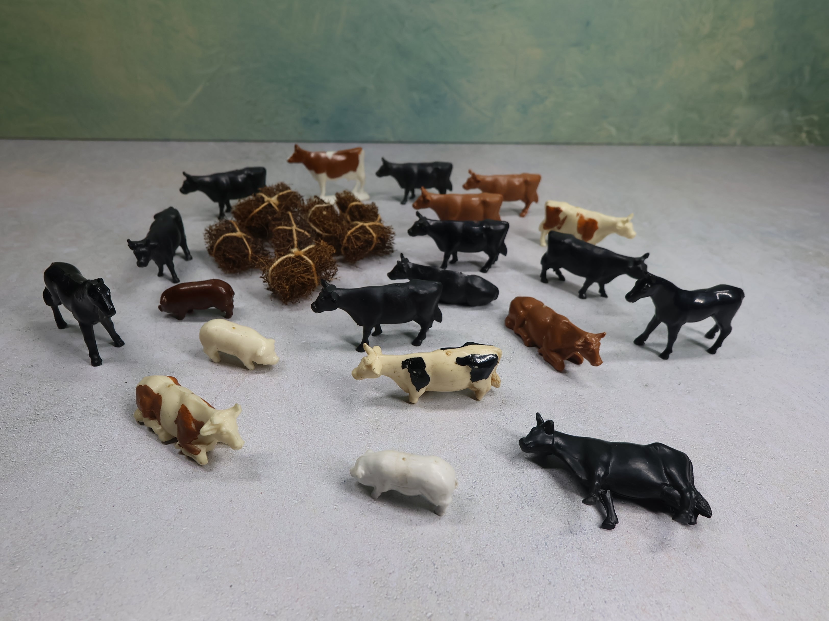 USED O Lot of Cattle